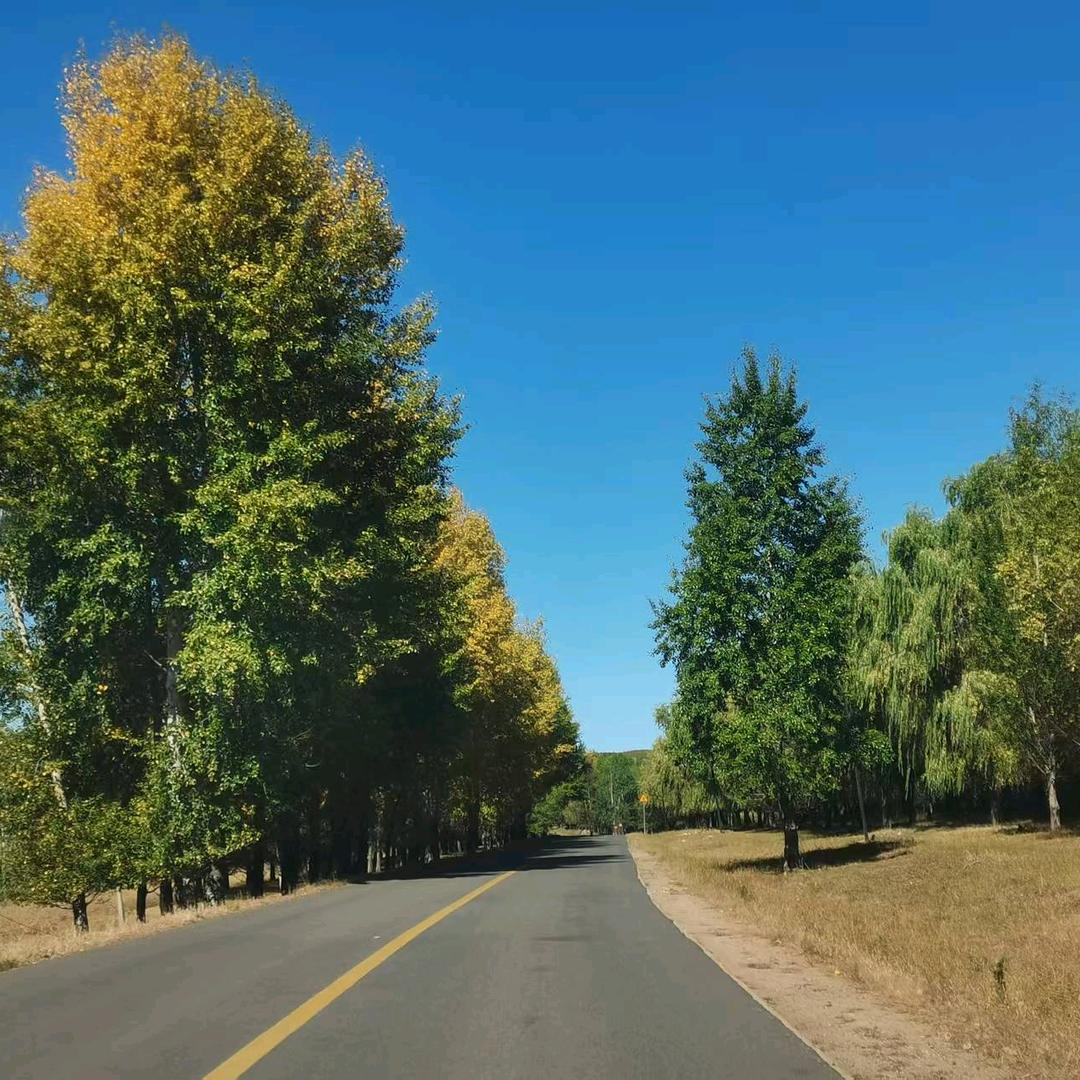 镇长带你看复兴