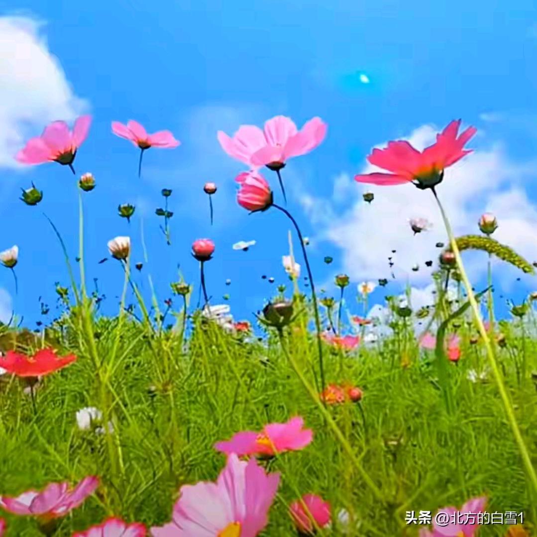 ✨💕知足常✨乐💞✨
