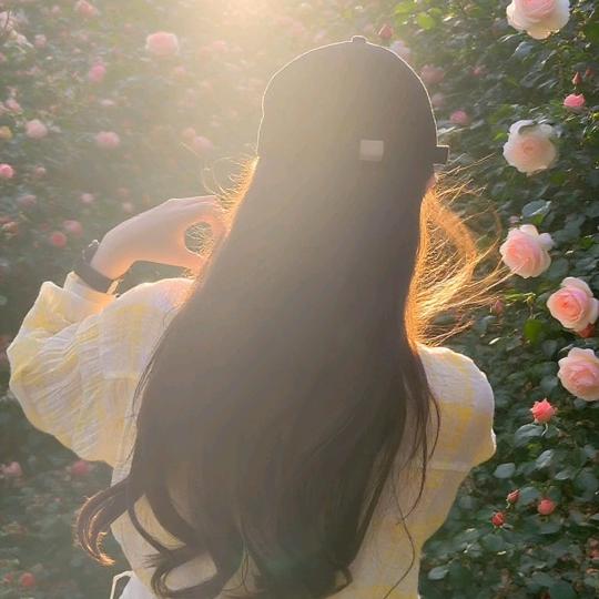 薯条🍀