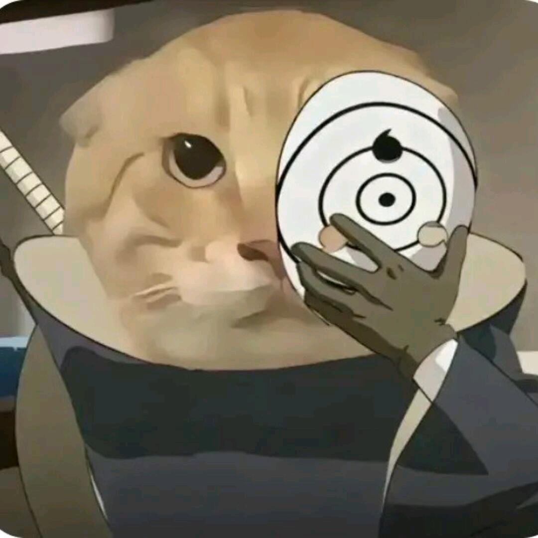 一梦一生