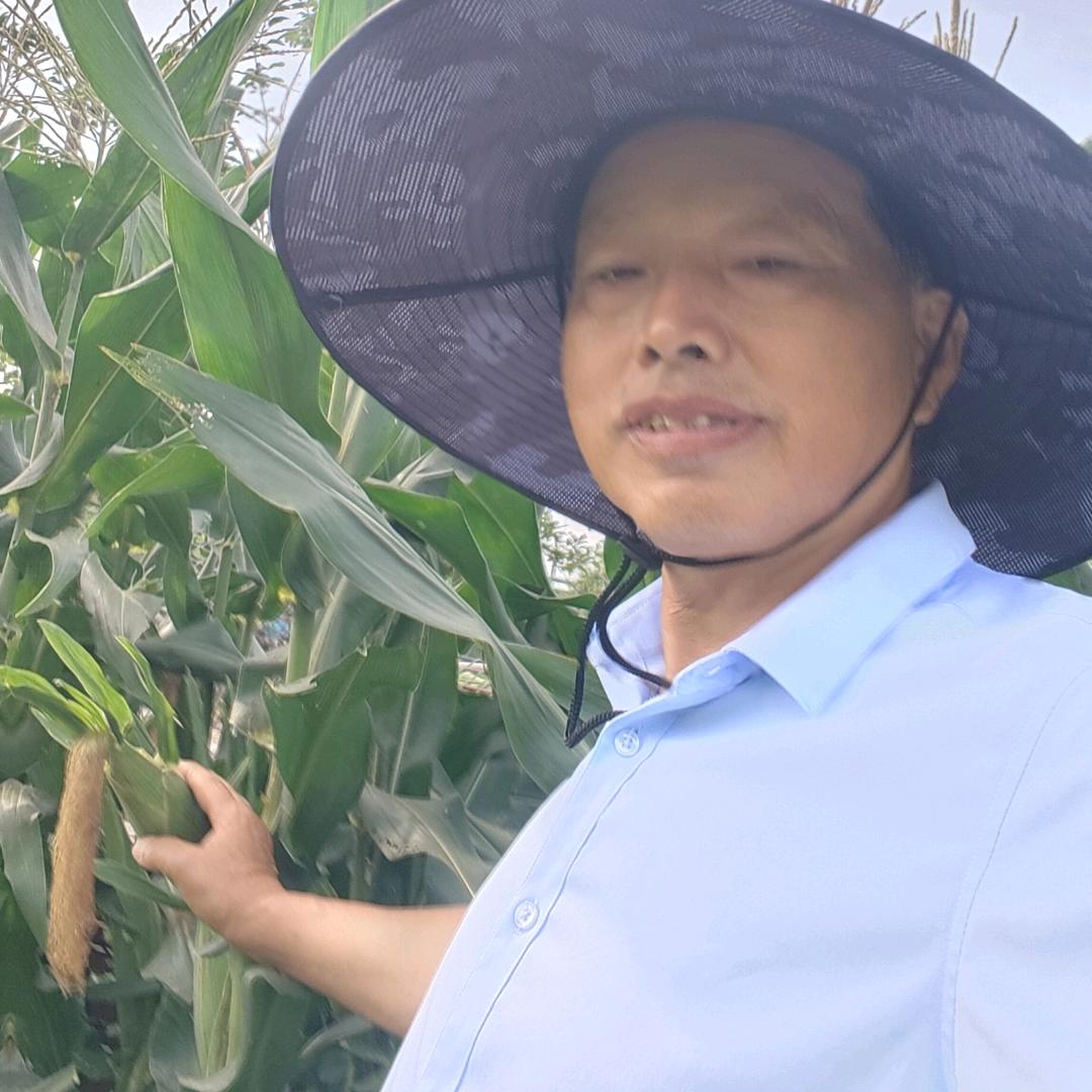 平哥说农资