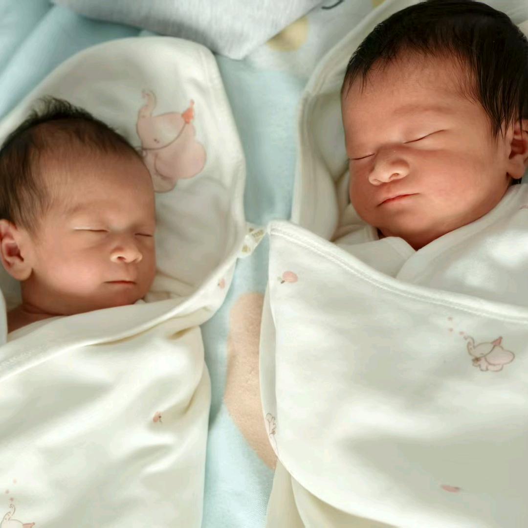 双胞胎姐妹(大香的玩具)