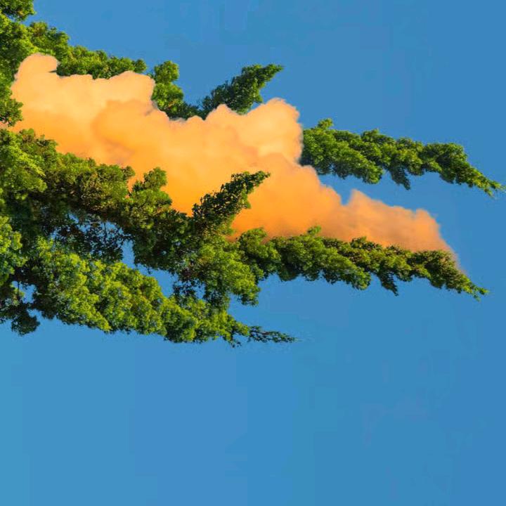 自由自在本地生活