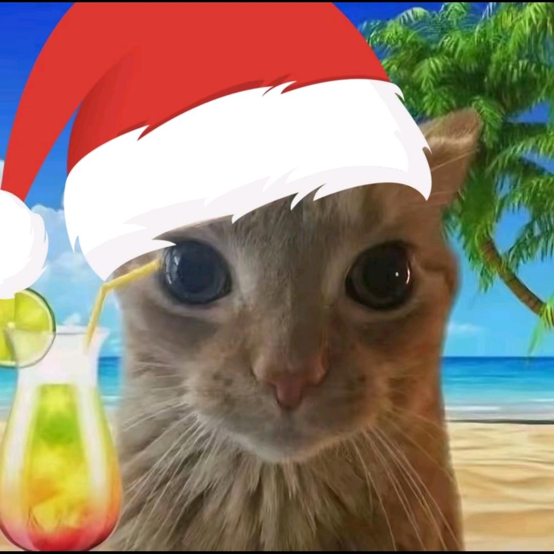 盼月亮（三角洲行动）