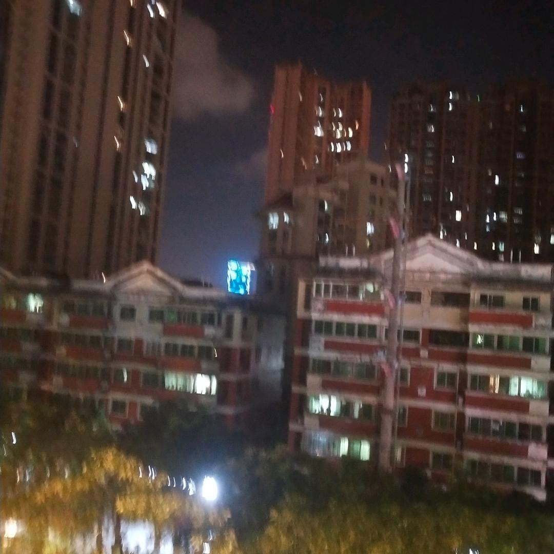 天龙人