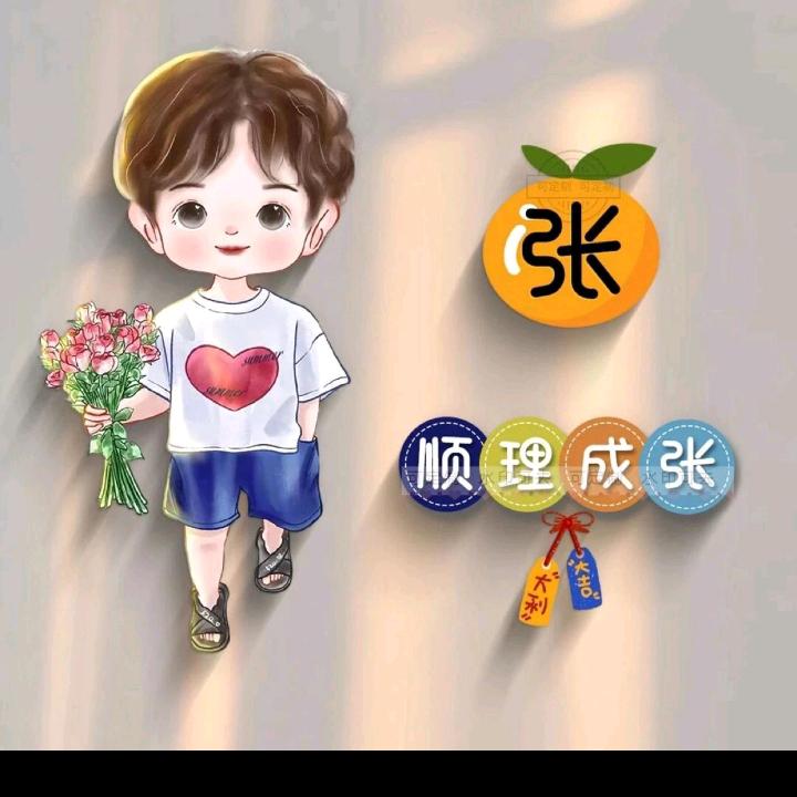 Z 风理的云