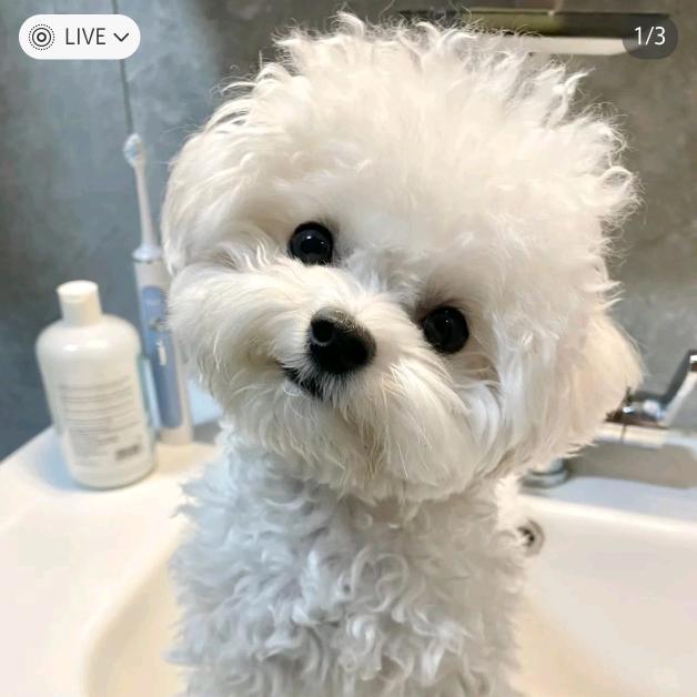 Clouds要变优秀呀