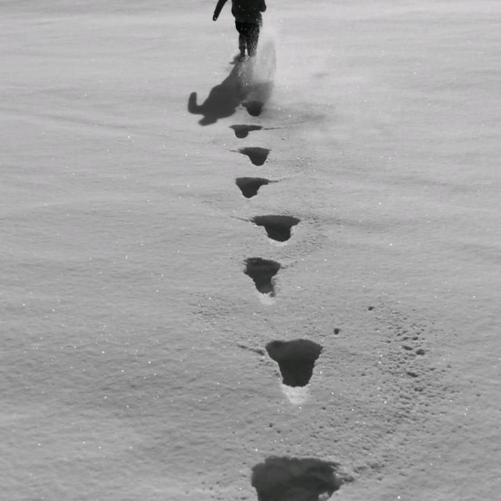 往后余生有你：㝊怘