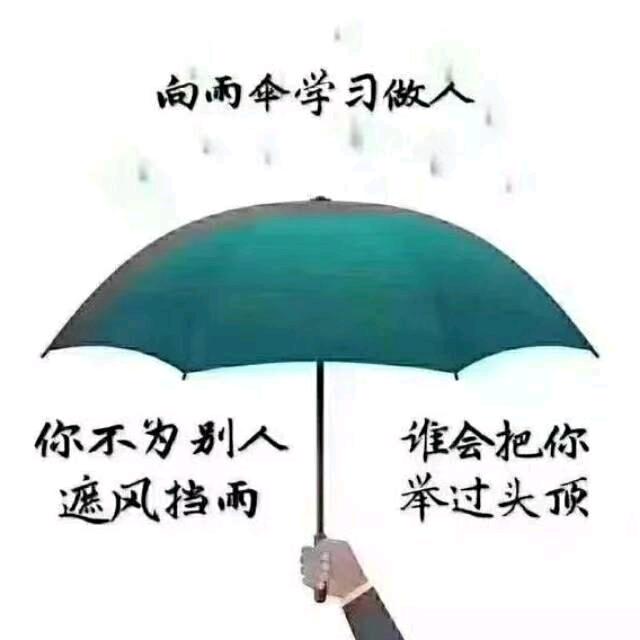 向雨伞学习做人