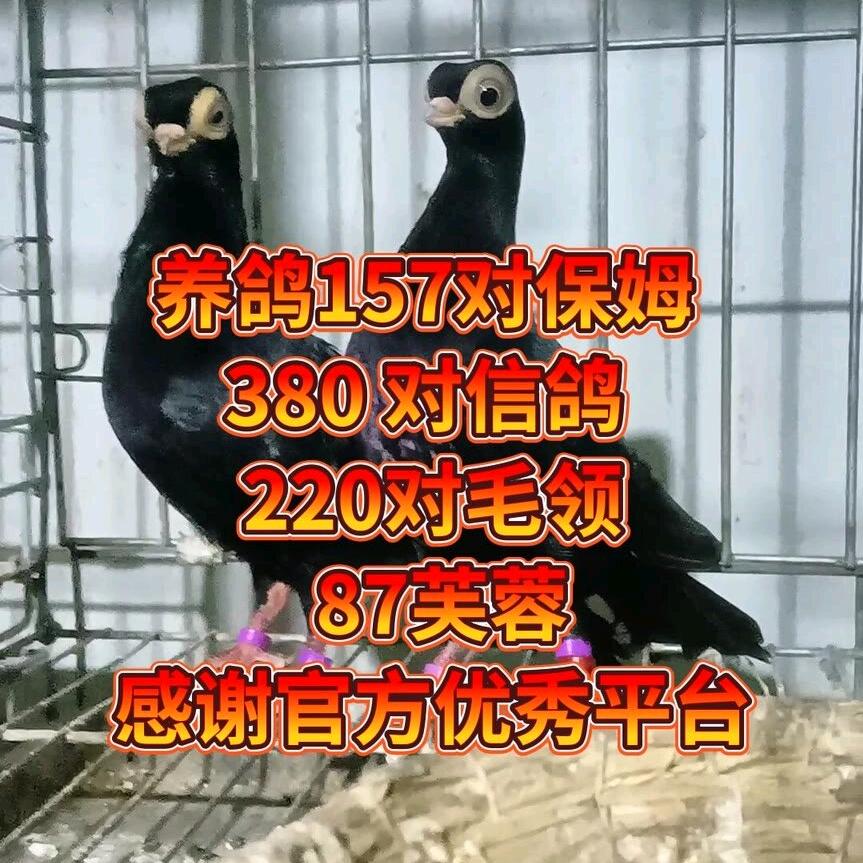 豫濮养殖 合作社