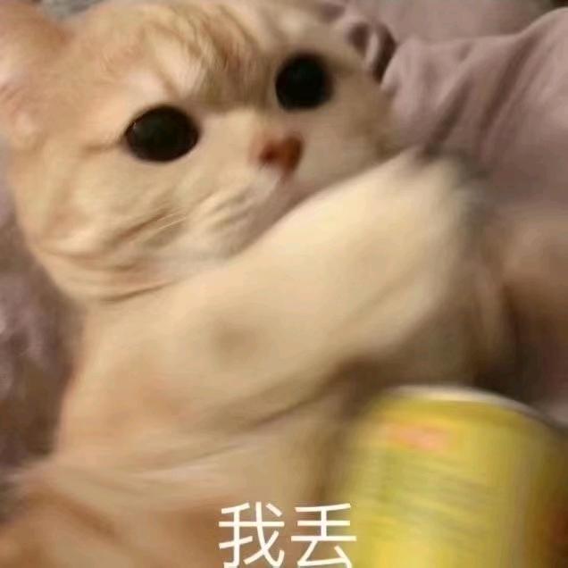 🌩皮卡丘先生🐀