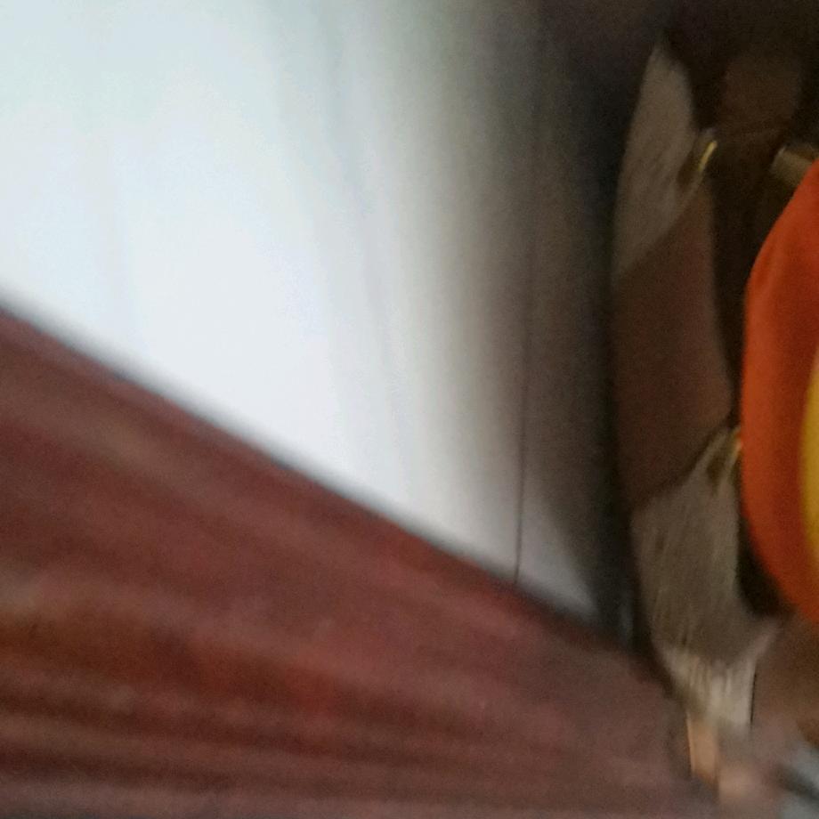 千山万水是我大儿，帮我提鞋的