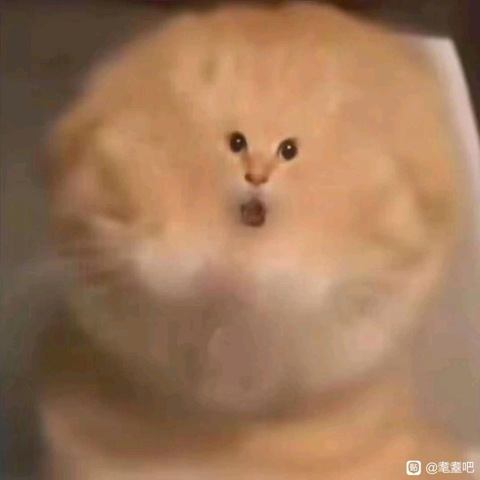 艾朴昌