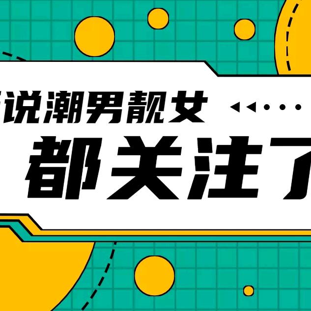 叮叮猫