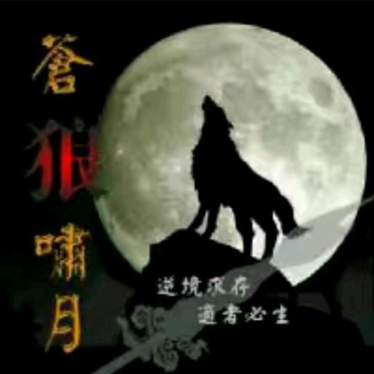 苍狼啸月🐺