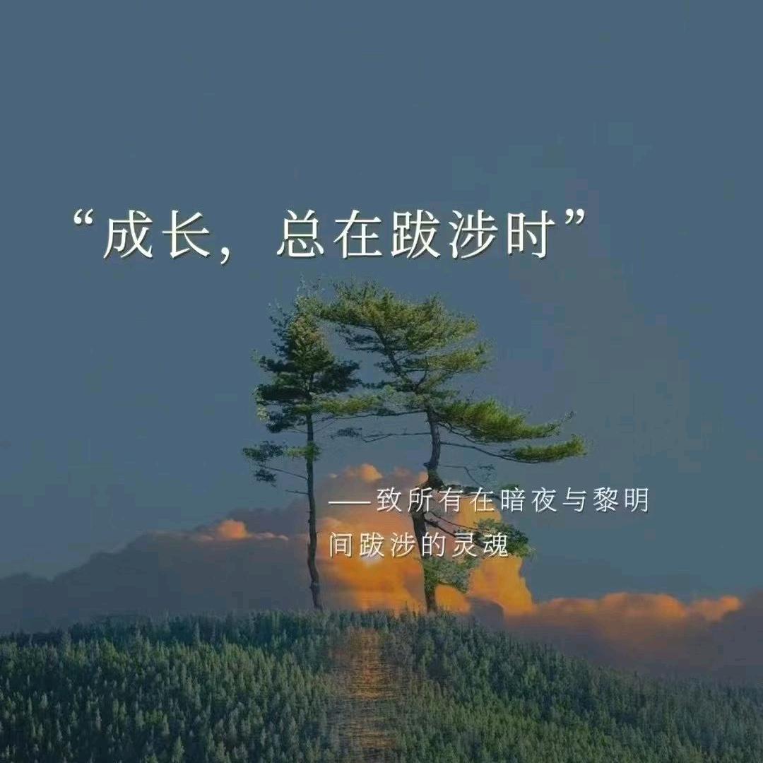 沉默丶不语
