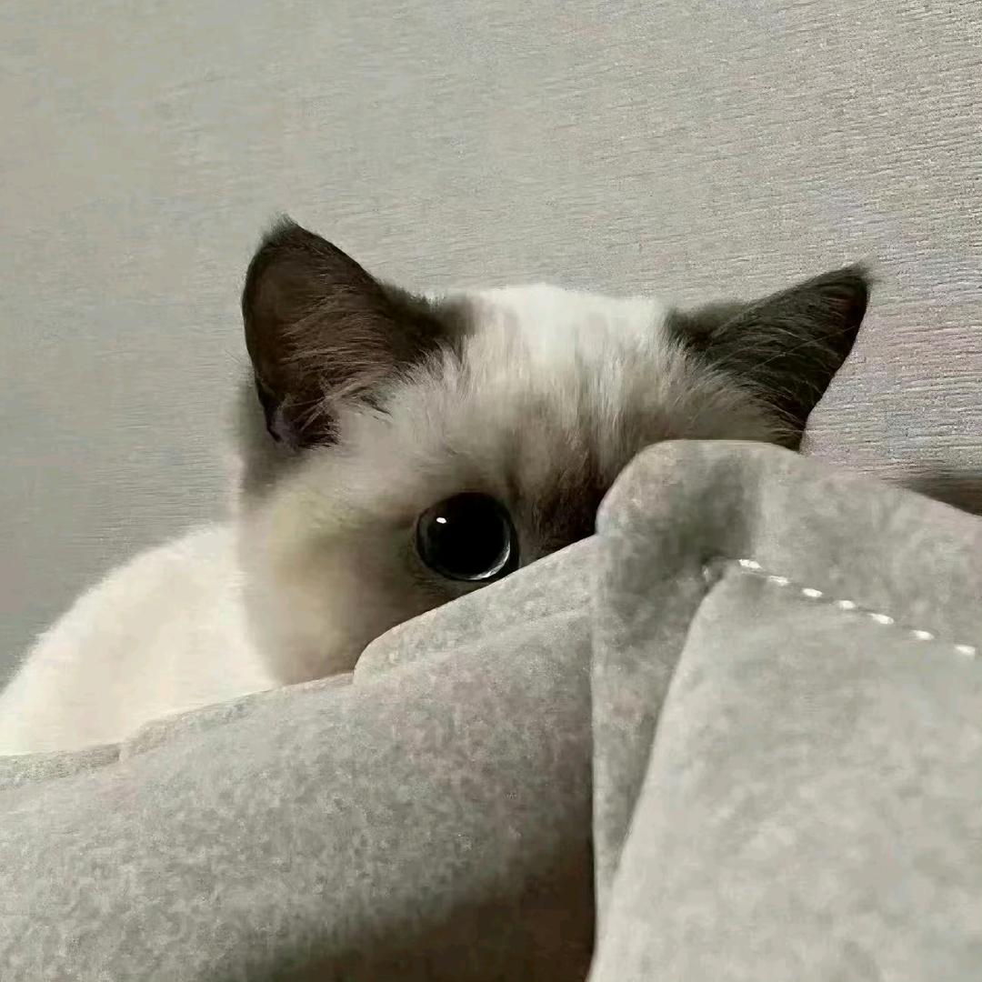 新能源工厂直招-姜姜˃ʍ˂