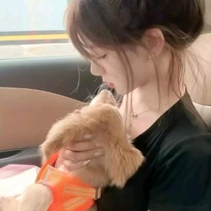 江眠青