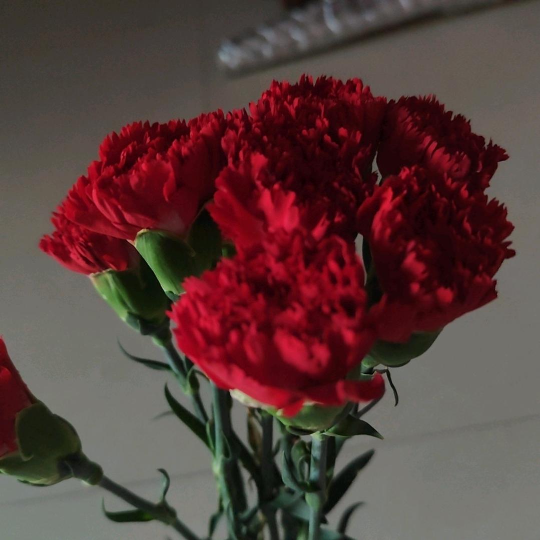 努力向前 钱，好运来来好运连连幸福满满