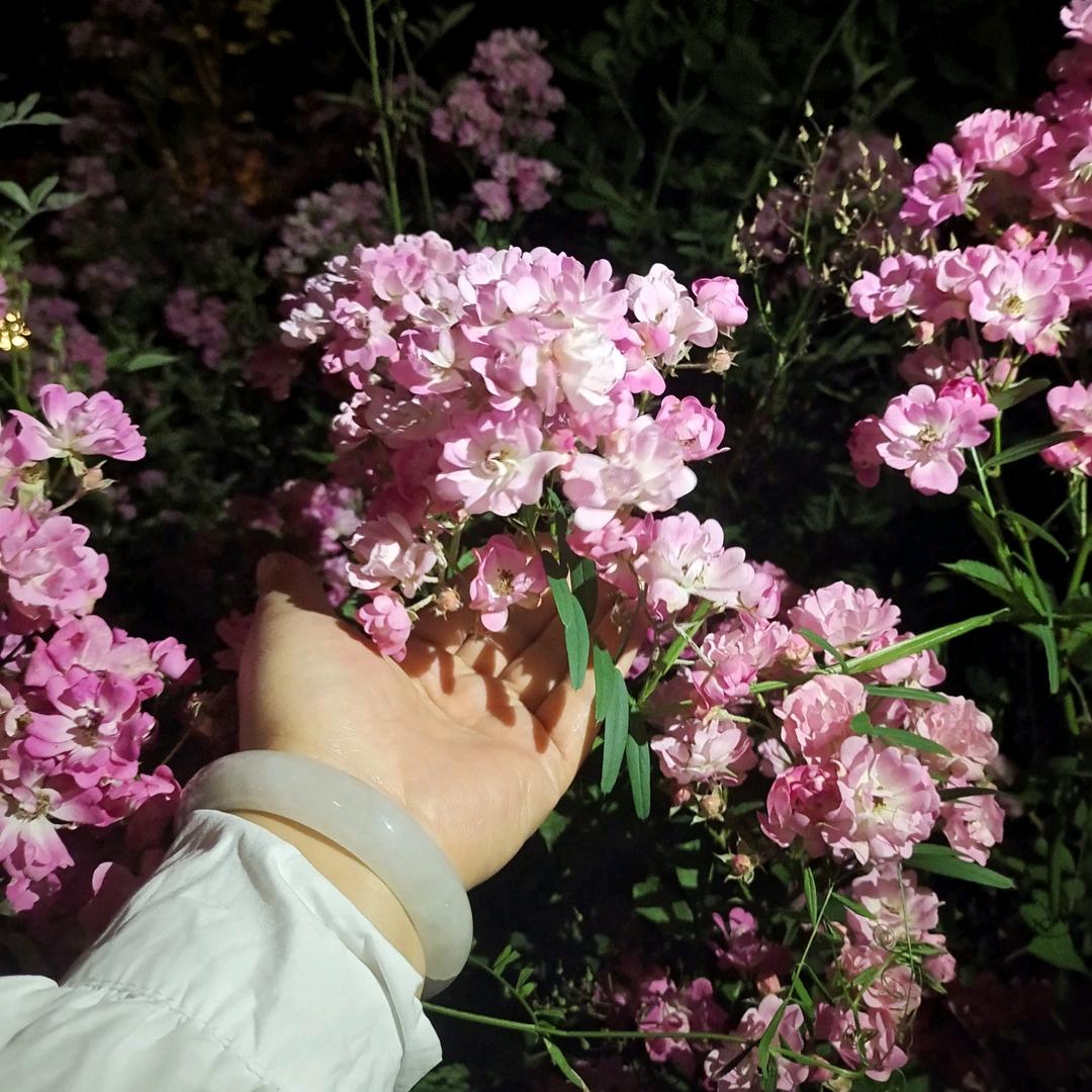 手撑鲜花