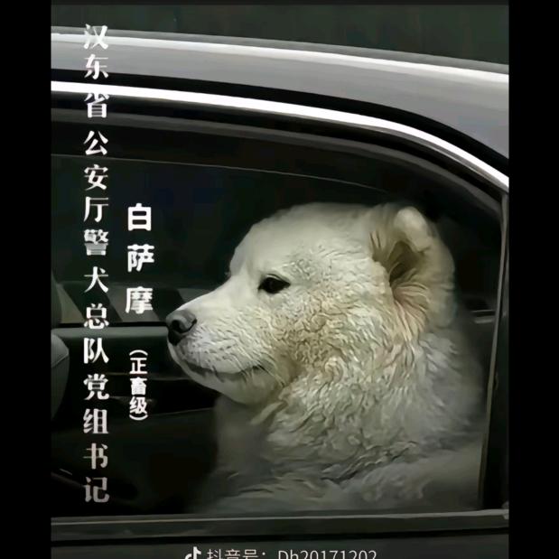 一三鉴棋