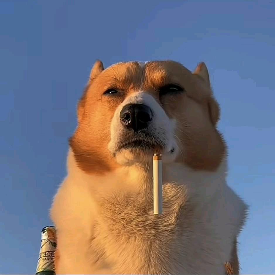 弑爱破红尘