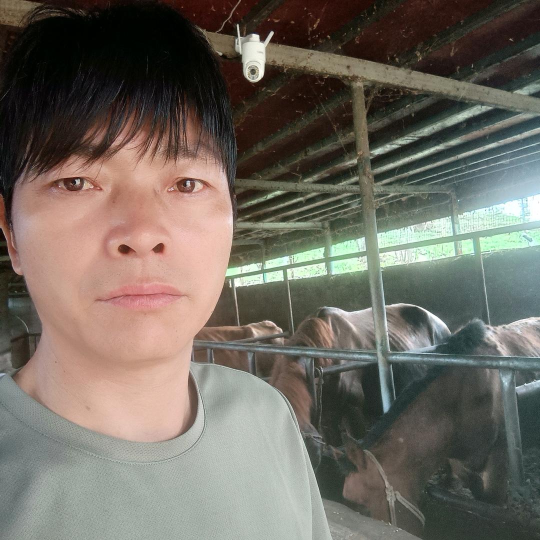 爬山虎一条龙服务