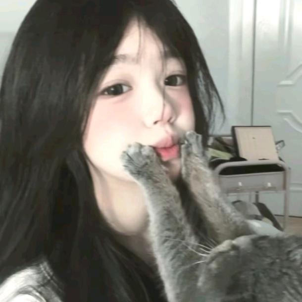 塔塔的猫