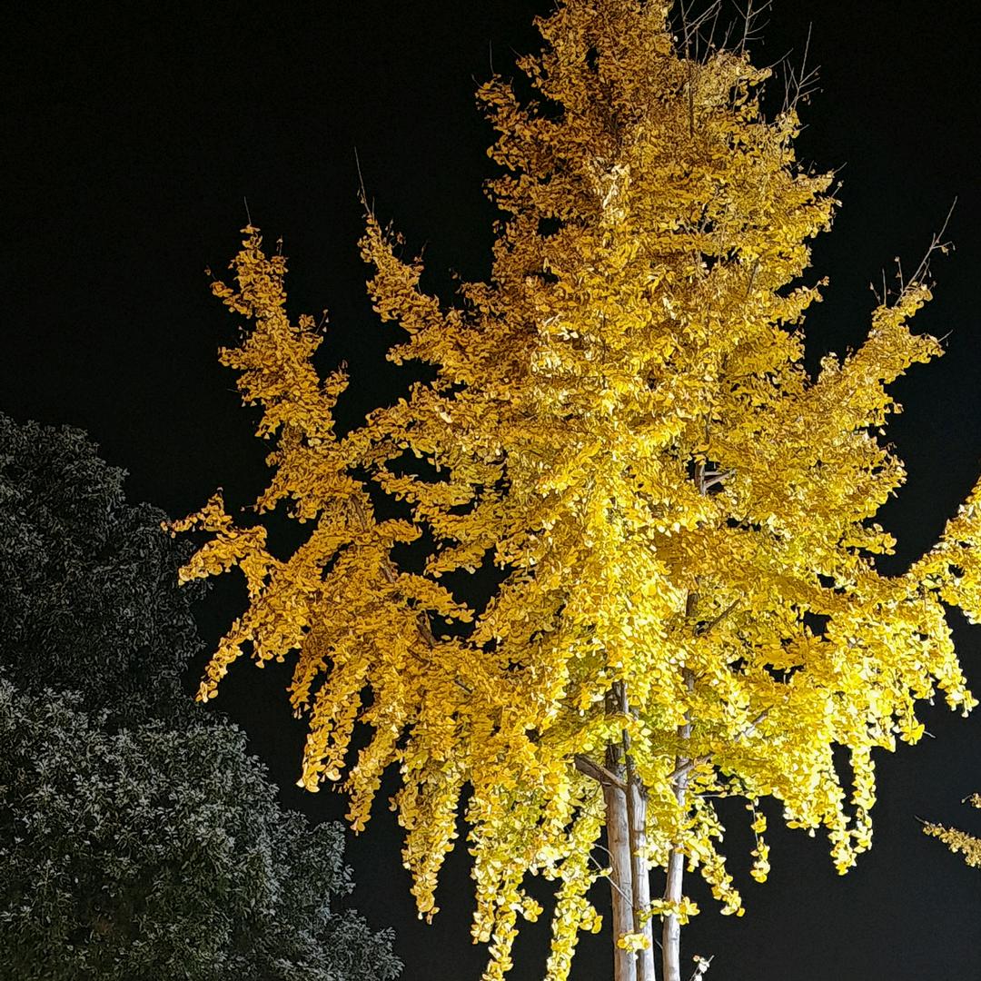 ᦗ᭄꯭💞爱财ᤢᤣ℘爱己