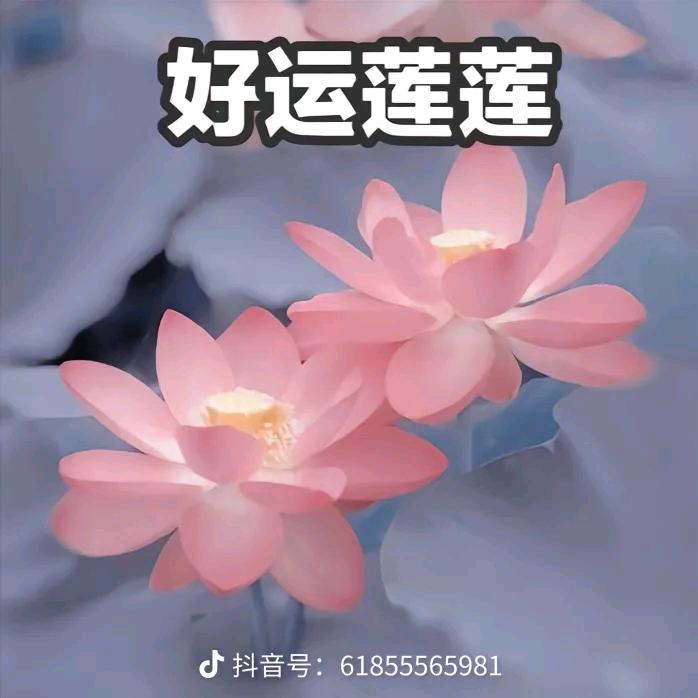 花开富贵(◍•ᴗ•◍)❤头像
