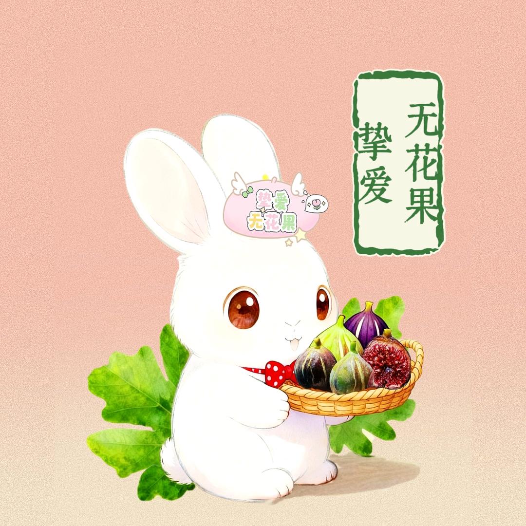 挚爱无花果