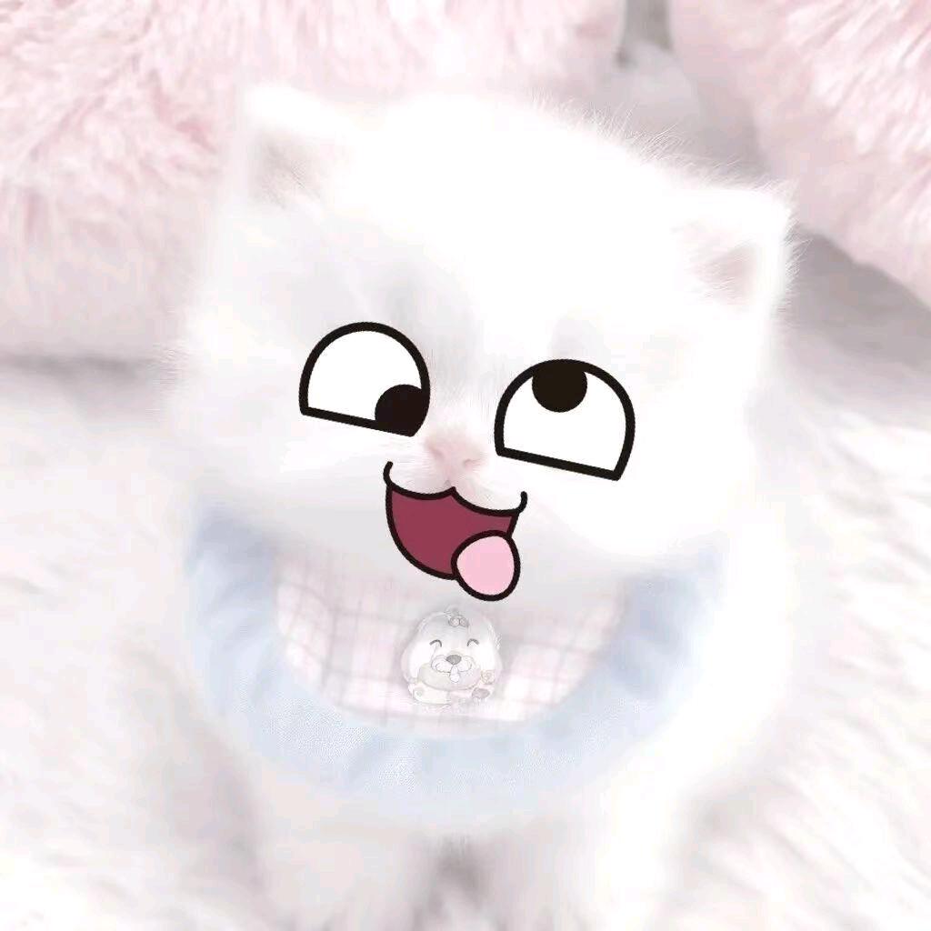清清清清清风