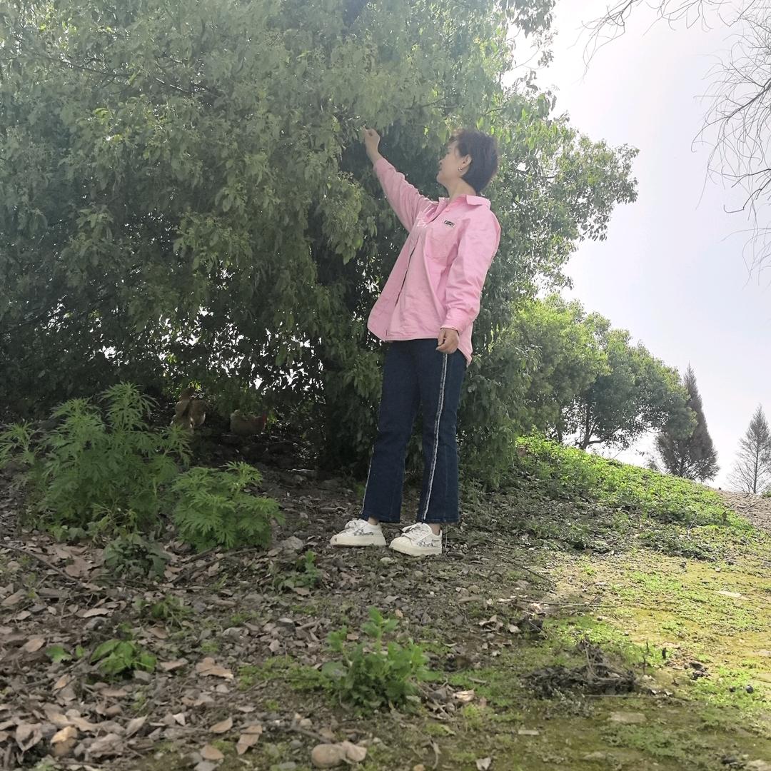 哼唱✪ω✪小情歌