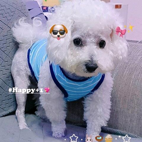 二十四桥明月夜-玉人何处教吹箫²³³³³