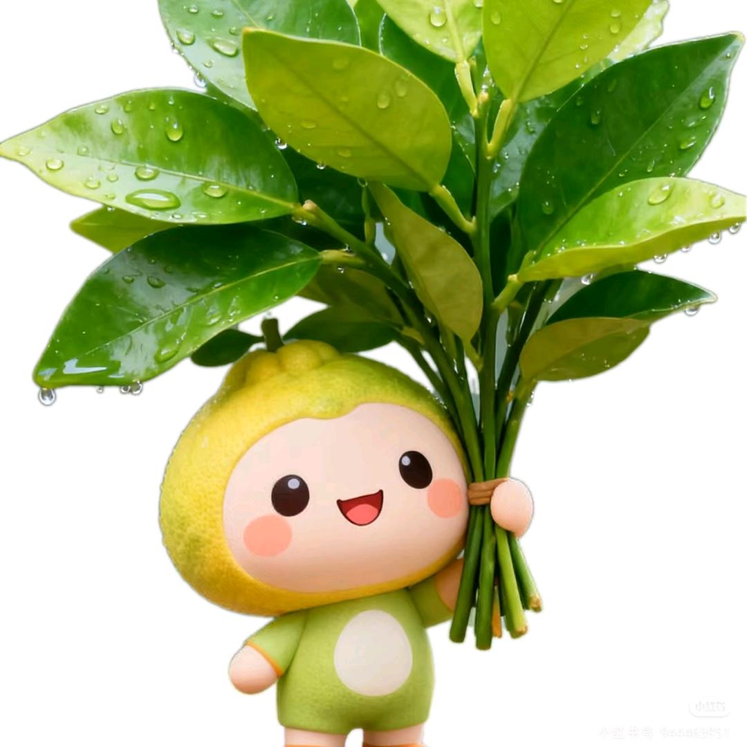 ✅思💰想厚👀