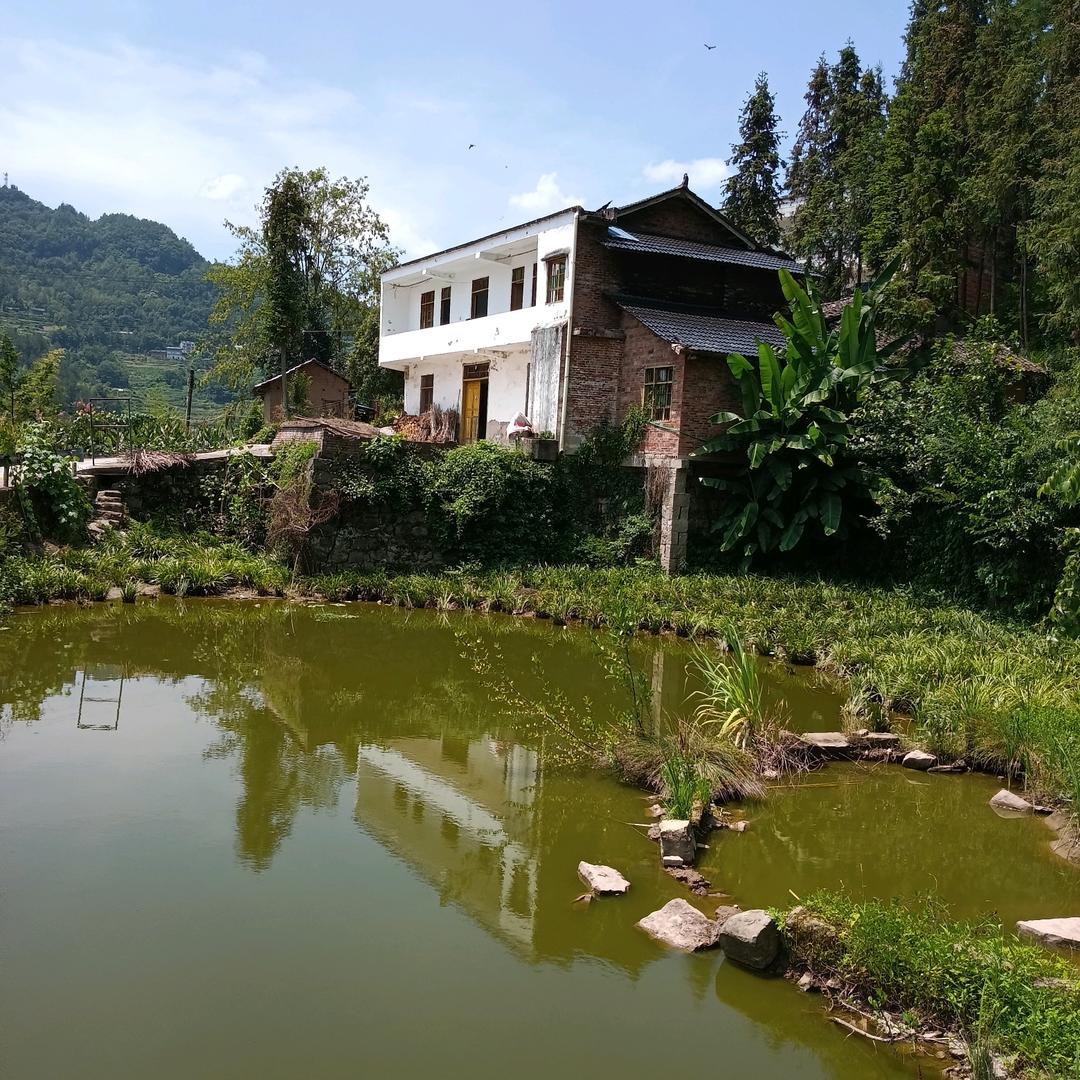 六零后