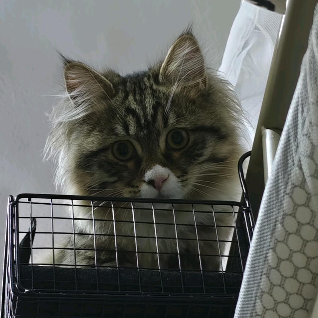 😌😍😏😒😓😔😖😘😚