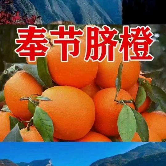 小幺妹