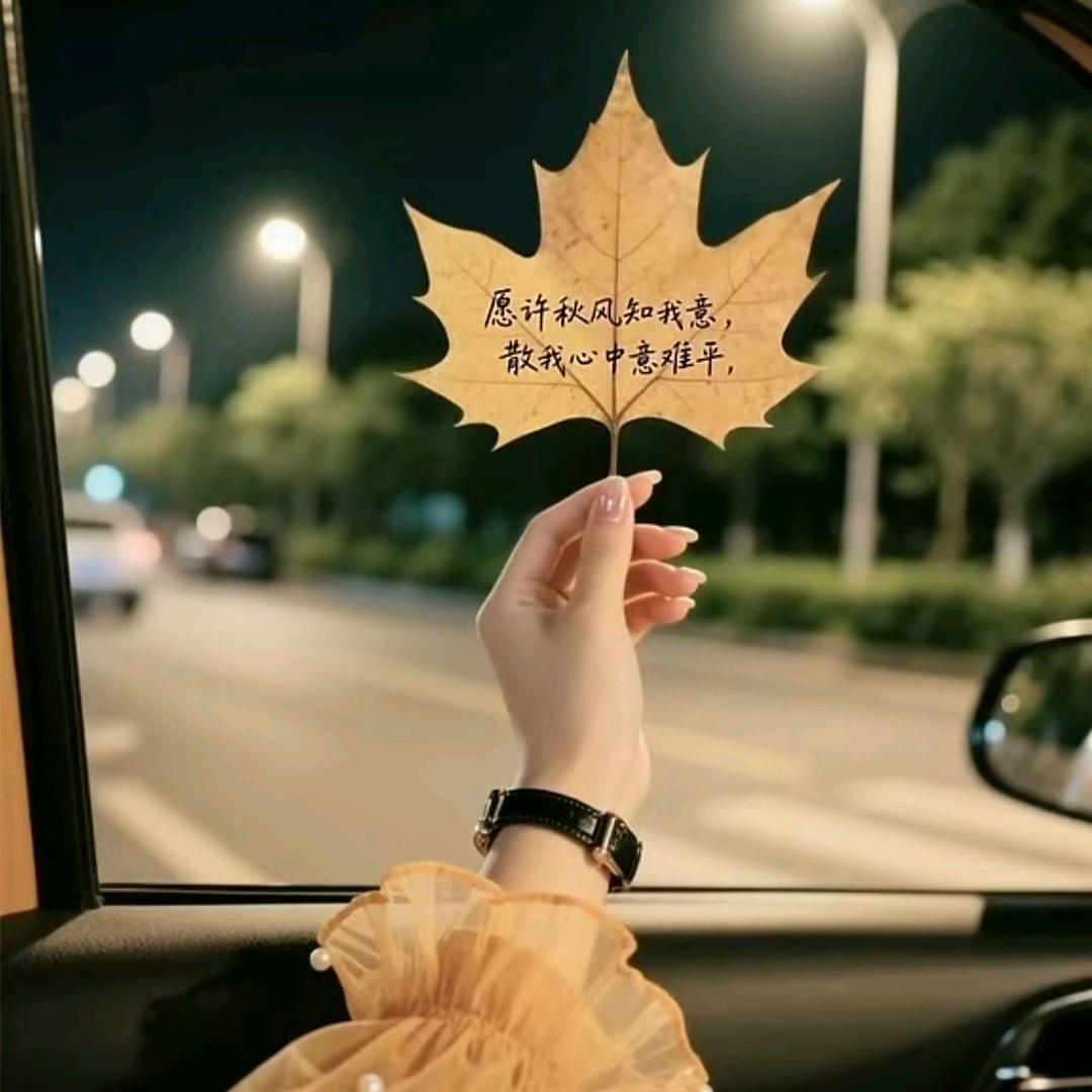 🍀你兰🍃姐哦🍀