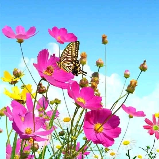 用户22345287960088