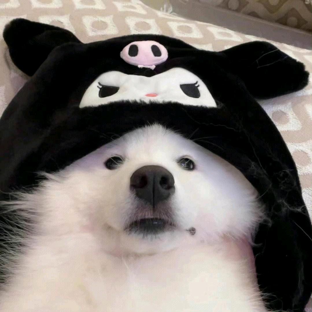 华理范小勤