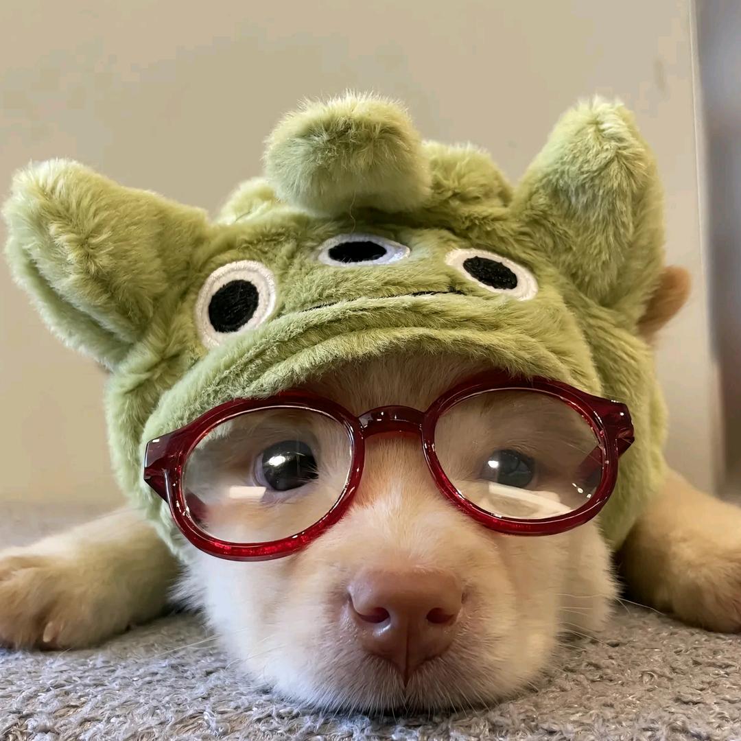 ५꒰۶⁎⁼̴̀ω⁼̴́⁎꒱۶