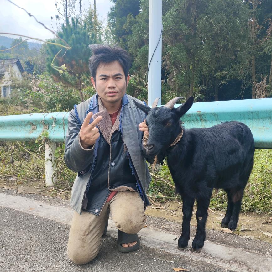 玛依大网红小号