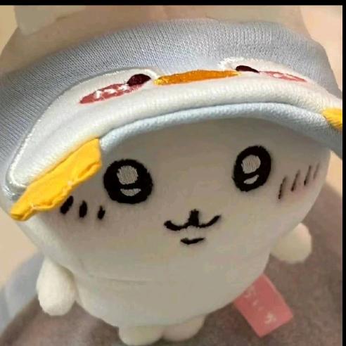 可爱的小八