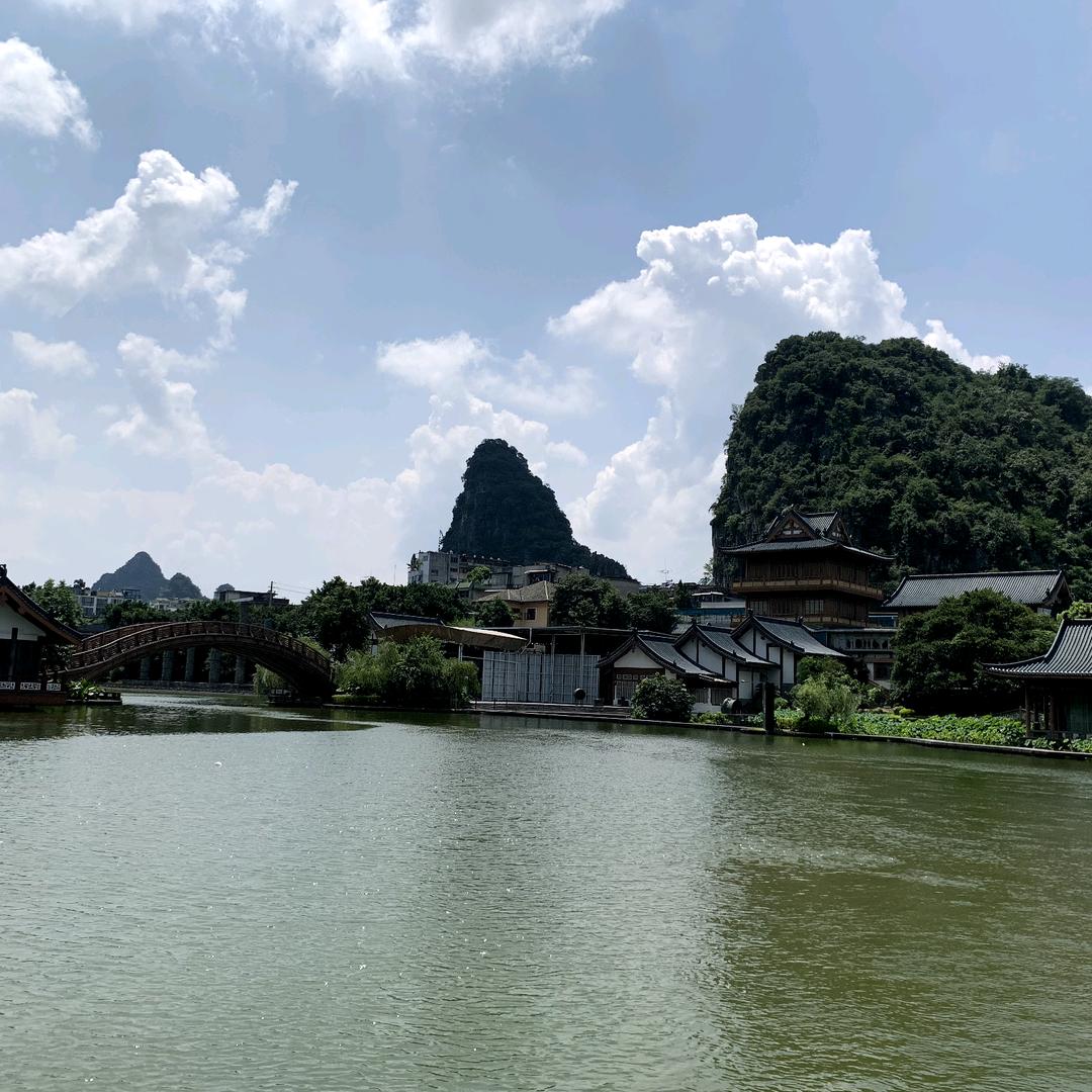 龙哥