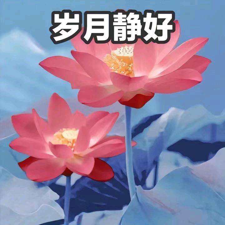 恒盛手袋