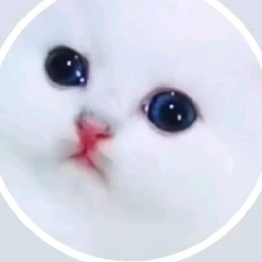 大雪