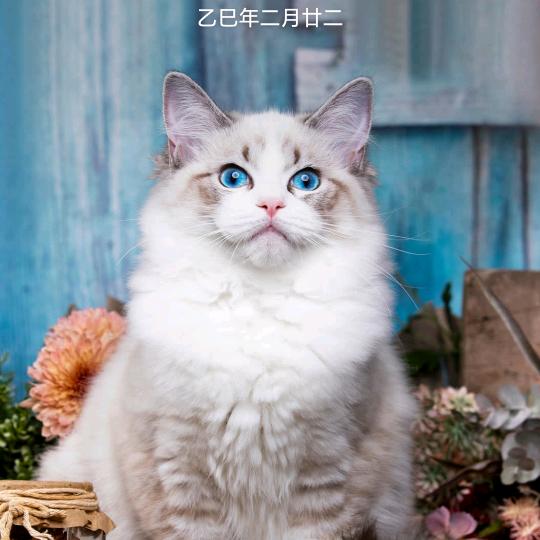 姐的心酸你不懂