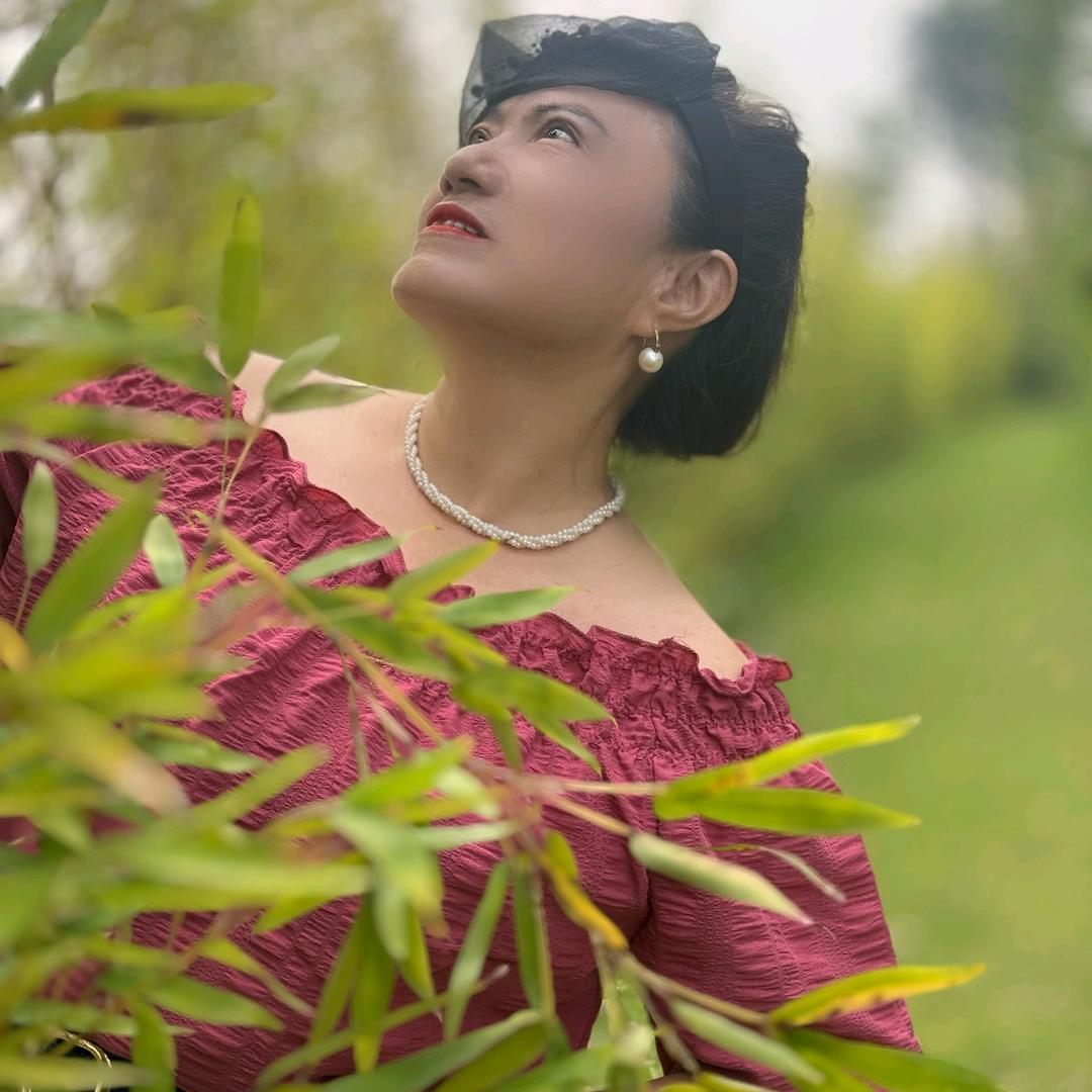 六朵梅