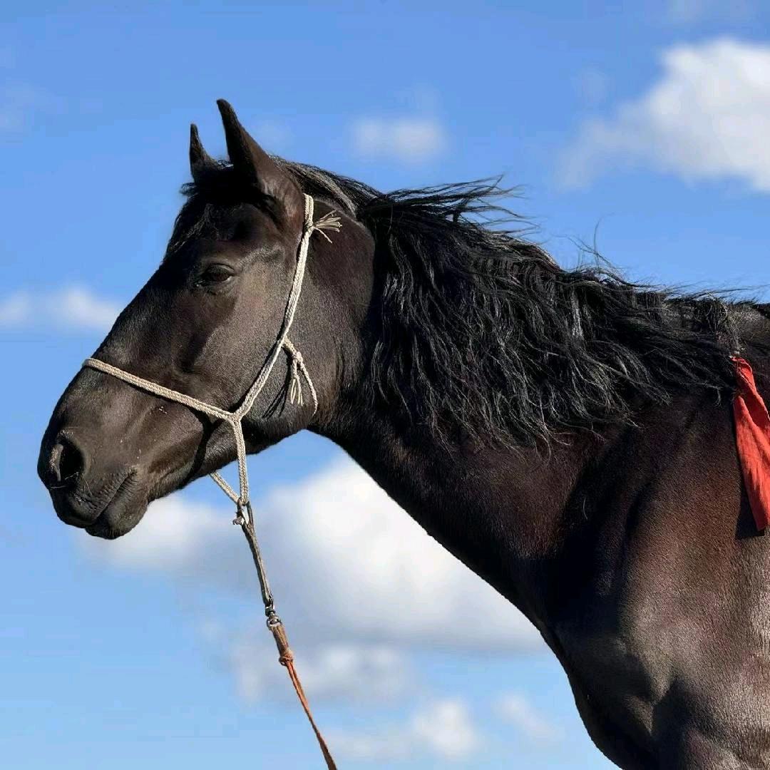 √མཱ་ལེ་ ÷